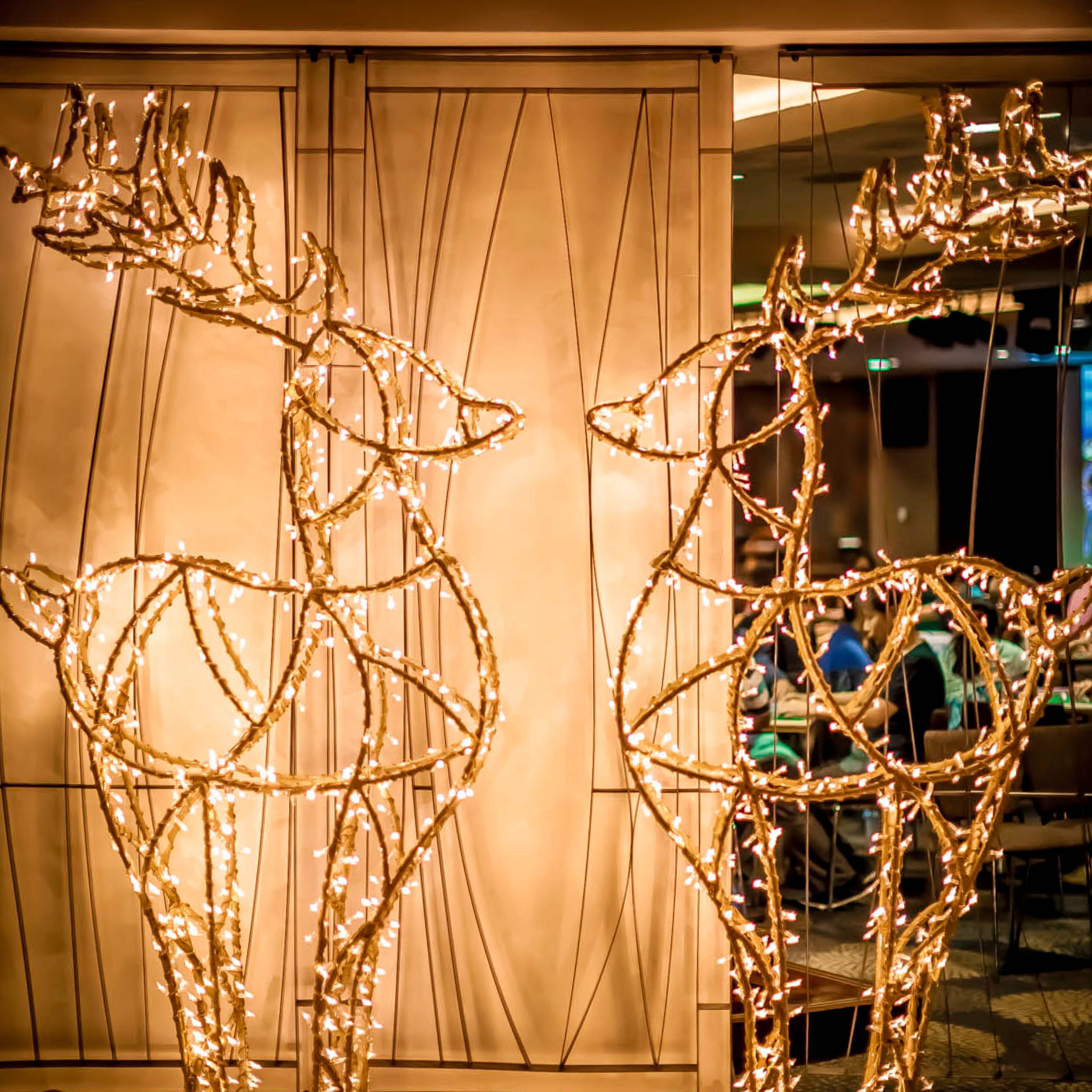 Two Christmas LED light reindeers